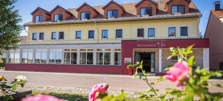 祖姆斯汀环形酒店(Hotel Zum Stein Wellness & Genuss Resort)图片