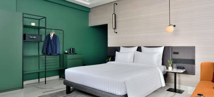 诺富特焦特布尔 ITI 圆环酒店(2023 年 4 月开业)(Novotel Jodhpur Iti Circle)图片