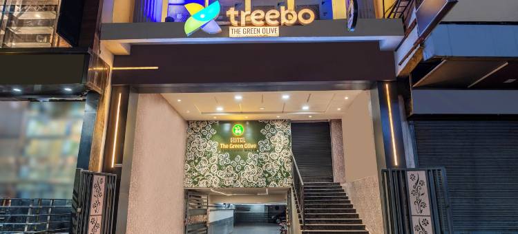 Treebo 绿橄榄(Treebo Green Olive)图片