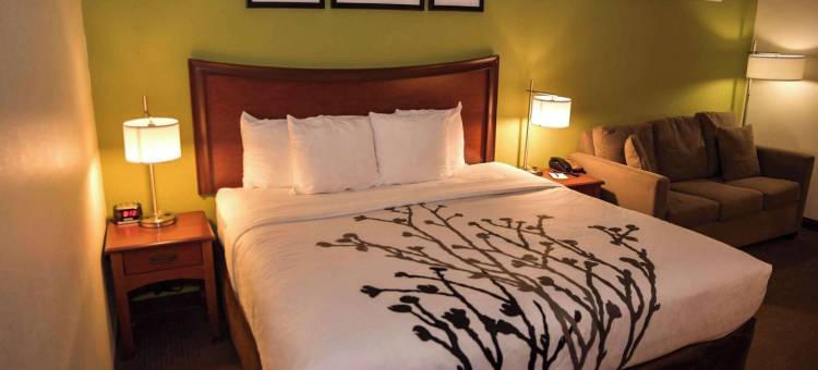 舒眠套房酒店(Sleep Inn & Suites)图片