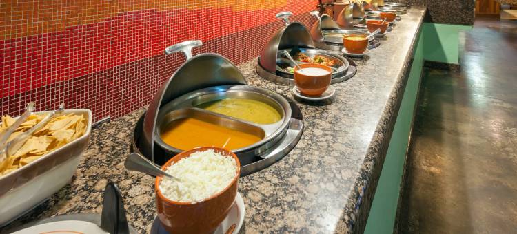 Holiday Inn 马塔莫罗斯 by IHG(Holiday Inn Matamoros)图片