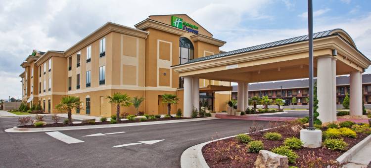 智选假日套房酒店科迪尔的北(Holiday Inn Express & Suites Cordele North)图片