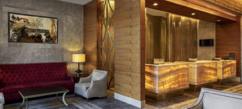 瑞享温泉水疗酒店(Mövenpick Bursa Hotel and Thermal Spa)图片