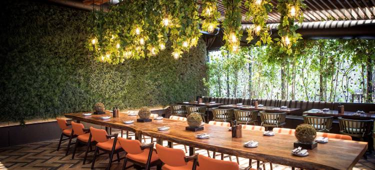 亚斯广场湾酒店(IHG)(Yas Plaza Bay by IHG)图片