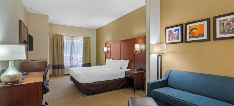 萨凡纳 I-95 高速公路舒适套房酒店(Comfort Suites Savannah Gateway I-95)图片