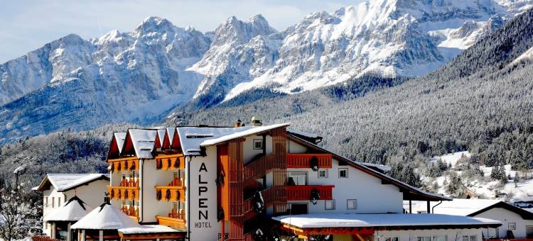 阿尔卑斯酒店(Hotel Alpen)图片