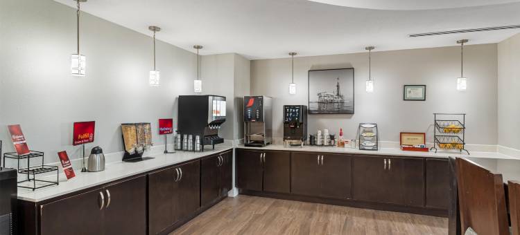 贝城贝斯特韦斯特优质套房酒店(Best Western Plus Bay City Inn  Suites)图片