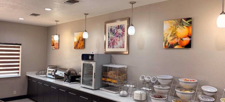 舒适套房酒店-李维斯维尔(Comfort Suites Lewisville)图片