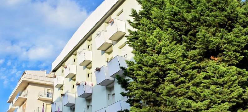 班姆拜酒店(Hotel Bamby)图片