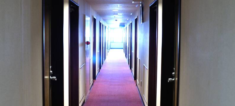 洛杉高知酒店(Hotel Los Inn Kochi)图片