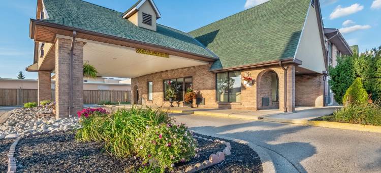 舒适酒店(Comfort Inn)图片