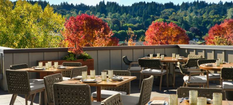 索姆酒店及水疗中心，傲途格精选(The SOMM Hotel & Spa, Autograph Collection)图片