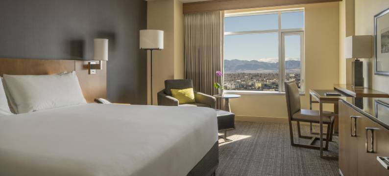 凯悦丹佛科罗拉多会议中心酒店(Hyatt Regency Denver at Colorado Conv Ct)图片