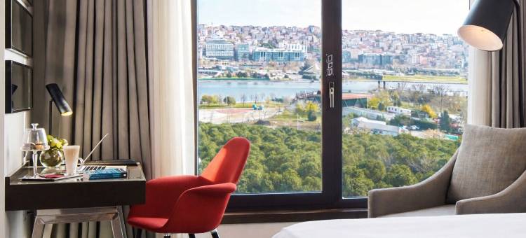 瑞享伊斯坦布尔金角湾酒店(Mövenpick Hotel Istanbul Golden Horn)图片