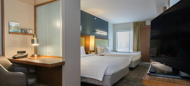 哥伦比亚市中心／维斯塔商业区万豪SpringHill酒店(SpringHill Suites Columbia Downtown/The Vista)图片