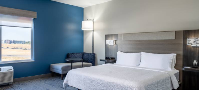 默里迪恩西博伊西智选假日套房酒店(Holiday Inn Express & Suites MERIDIAN - BOISE WEST by IHG)图片
