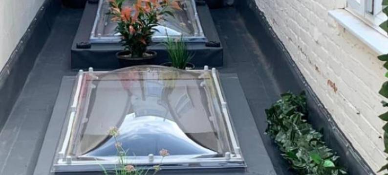 OYO双棕榈宾馆(OYO Twins Palms Guest House)图片