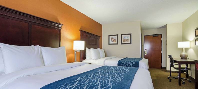 舒适酒店及套房哈钦森(Comfort Inn & Suites)图片