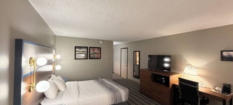 阿普尔顿市中心AmericInn酒店(Americinn by Wyndham Appleton Downtown)图片