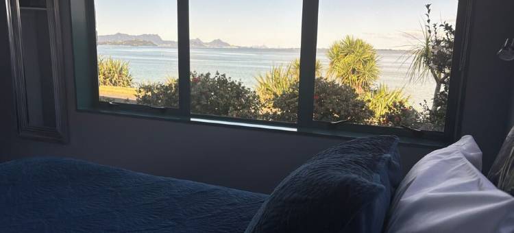 Spacious harbourside apartment with amazing views图片