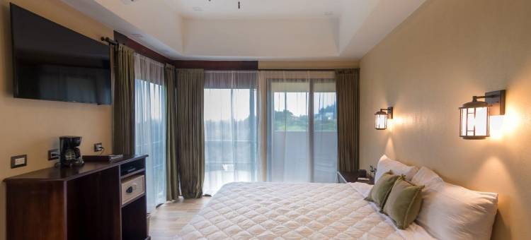 波科波科酒店 - 哥斯达黎加(Hotel & Spa Poco a Poco - Costa Rica)图片