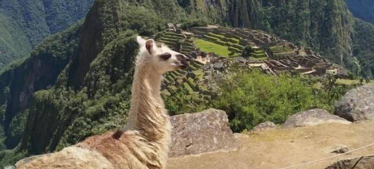 马丘比丘Picos之家(Picos House MachuPicchu)图片