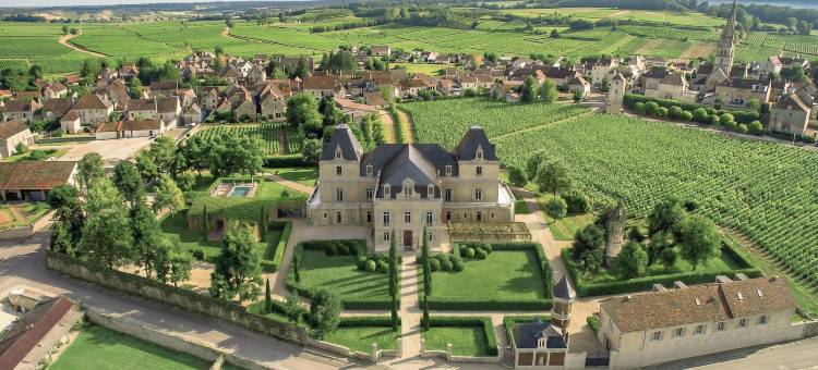 德拉屈耶特沙托&水疗(Château & Spa de la Cueillette)图片