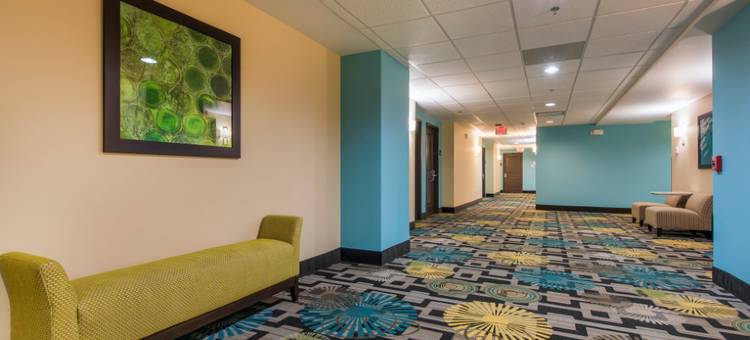 科罗拉多斯普林斯中心智选假日酒店及套房(Holiday Inn Express & Suites COLORADO SPRINGS CENTRAL by IHG)图片