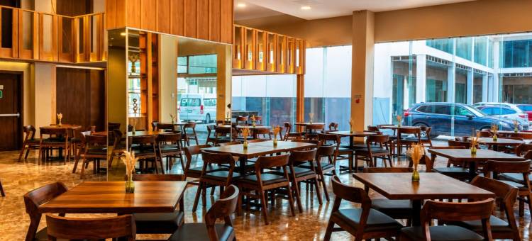 杜兰戈温德姆花园酒店(Wyndham Garden Durango)图片