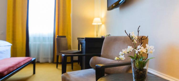 巴塞尔欧拉酒店(Hotel Euler Basel)图片