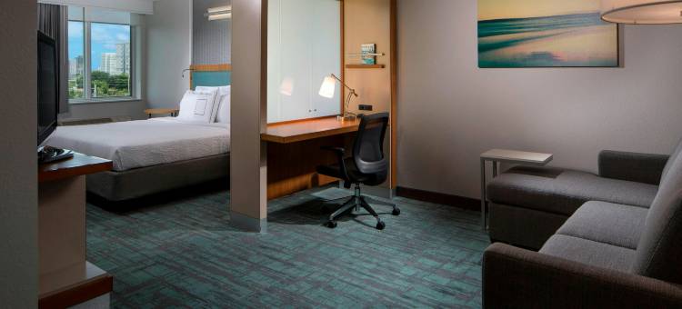 迈阿密市中心/医疗中心万豪SpringHill酒店(SpringHill Suites Miami Downtown/Medical Center)图片