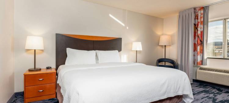 斯皮尔菲什万枫酒店及套房(Fairfield Inn & Suites Spearfish)图片