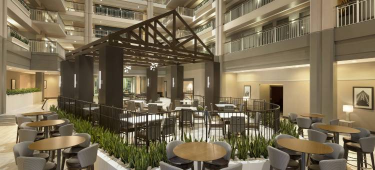 朗伯德希尔顿安泊酒店(Embassy Suites by Hilton Chicago Lombard Oak Brook)图片