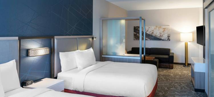 欧弗兰帕克利伍德SpringHill Suites酒店(SpringHill Suites Overland Park Leawood)图片
