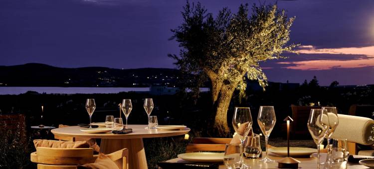 帕罗斯帕里安编年酒店 - 凯悦悠选(Parian Chronicle Hotel Paros)图片