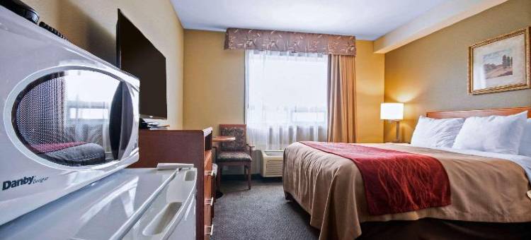 兰利舒适酒店(Comfort Inn & Suites)图片