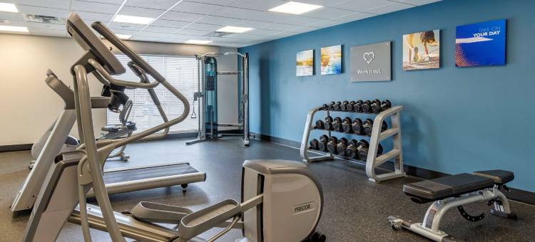 舒适套房靠近萨姆休斯顿赛马公园(Comfort Suites Near Sam Houston Race Park)图片