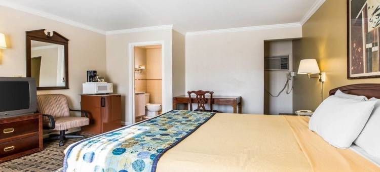 伐木工人酒店(Hotel Lumberjack)图片