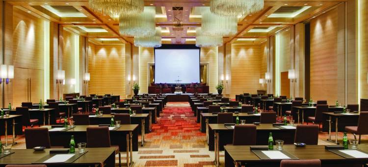 金奈凯悦王朝酒店(Hyatt Regency Chennai)图片