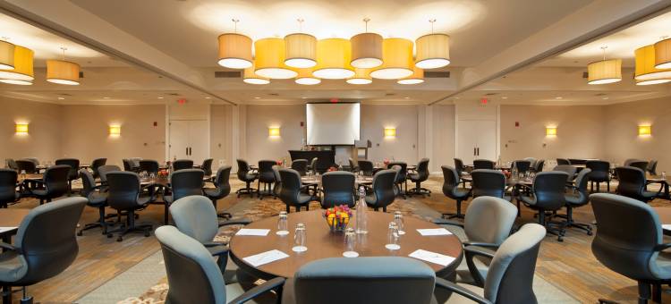 芝加哥-北海岸会议中心希尔顿逸林酒店(DoubleTree by Hilton Chicago - North Shore Conference Center)图片