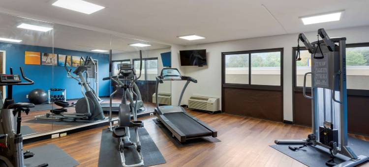 宾厄姆顿I-81舒适酒店(Comfort Inn Binghamton I-81)图片