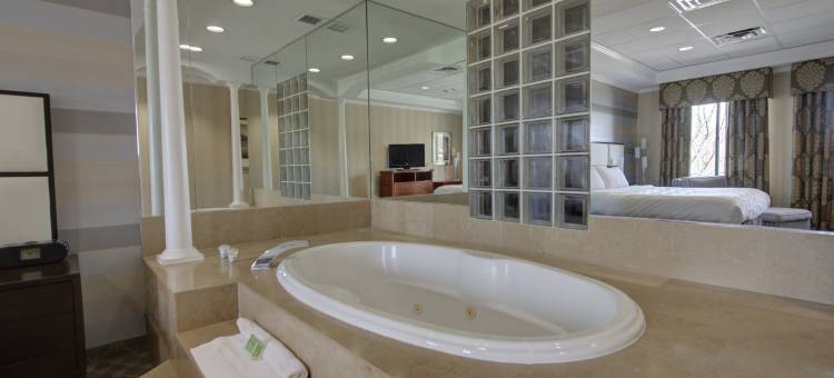 Holiday Inn 纽约普莱恩维尤的长岛(Holiday Inn Plainview-Long Island)图片