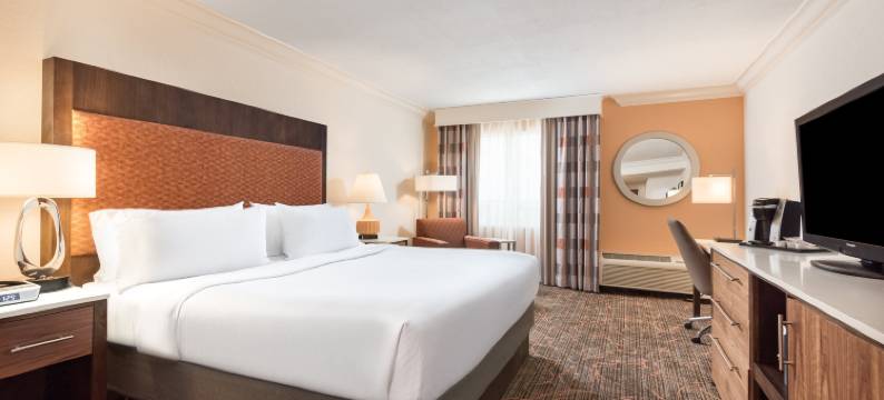 劳德代尔堡机场假日酒店(Holiday Inn FT. LAUDERDALE-AIRPORT by IHG)图片