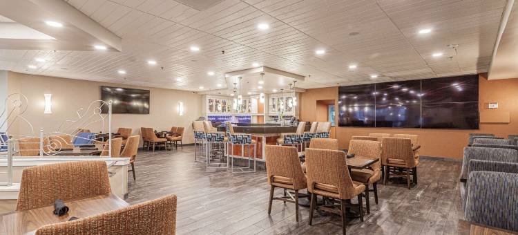 孟菲斯逸林酒店(DoubleTree by Hilton Memphis)图片