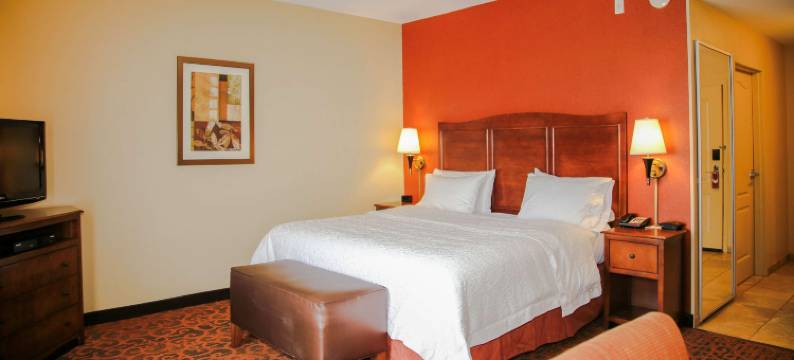 马塔莫拉斯欢朋酒店(Hampton Inn Matamoras/Milford)图片