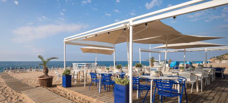 贾德赫(htop Jadhe)图片