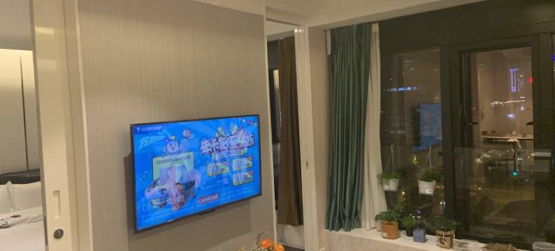 小伙子公寓(物流大道分店)图片