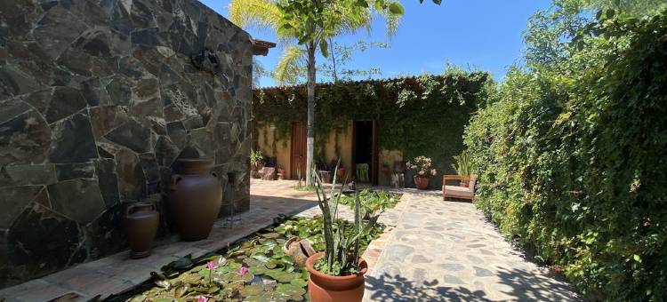 拉斯哈拉斯温泉(Las Jaras Aguas Termales)图片