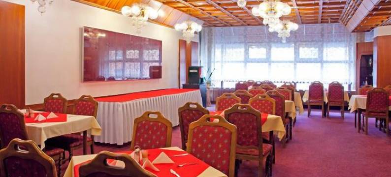 莫库尔酒店 - 捷克贾布朗尼城(Hotel Merkur - Jablonec Nad Nisou)图片