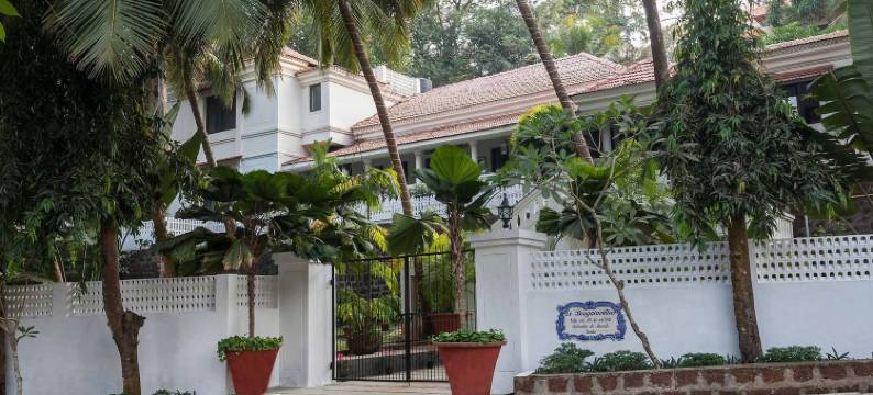 La Bougainvillea图片